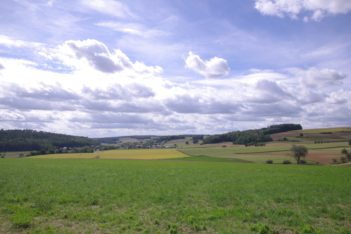 Weitblick