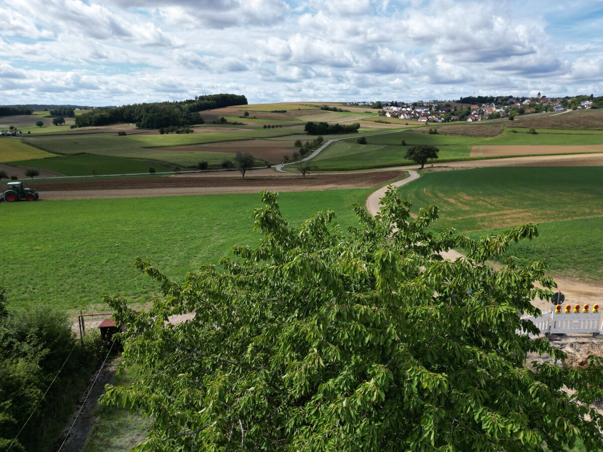 DJI_0050