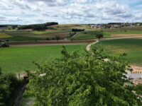 Aussicht vom Haus
