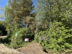Freizeitgrundstück - Naturgrundstück in ruhiger Ortsrandlage