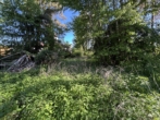 Freizeitgrundstück - Naturgrundstück in ruhiger Ortsrandlage