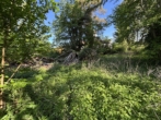 Freizeitgrundstück - Naturgrundstück in ruhiger Ortsrandlage