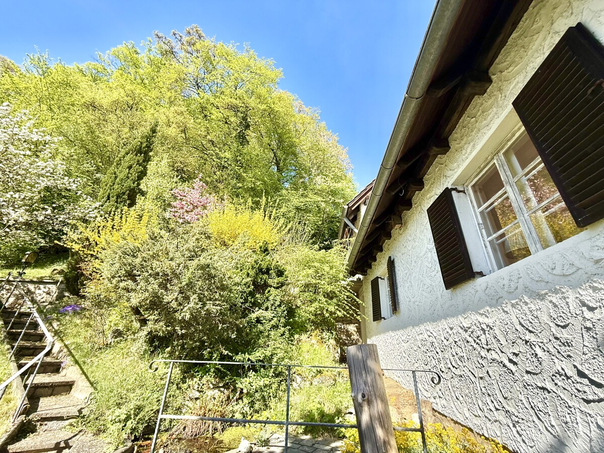 Ihr Haus mit Garten von Osten