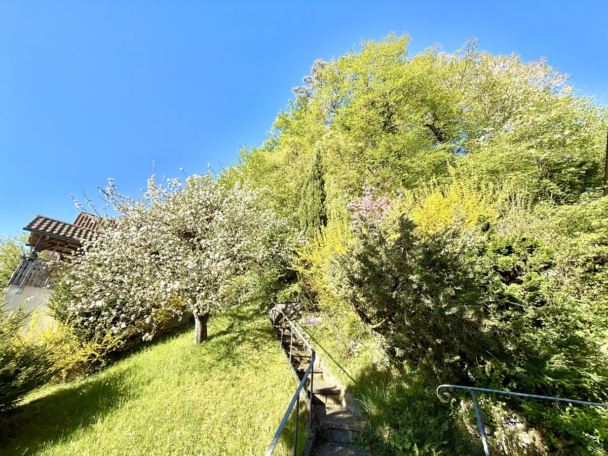 Ihr Garten gen Süden