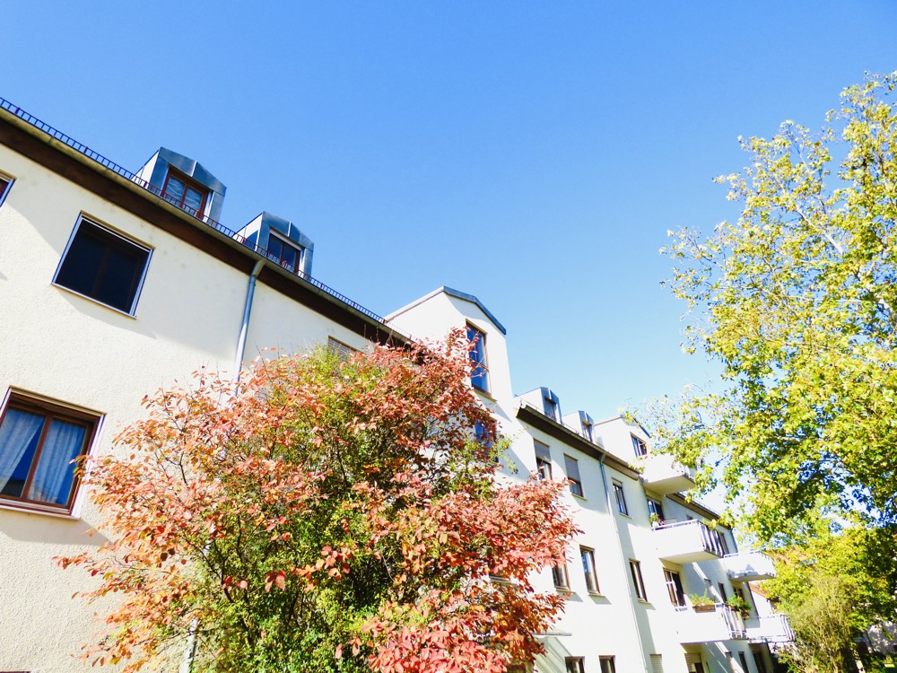 Ihr Haus von Süd-Osten