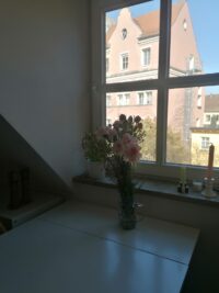 ...mit Ausblick