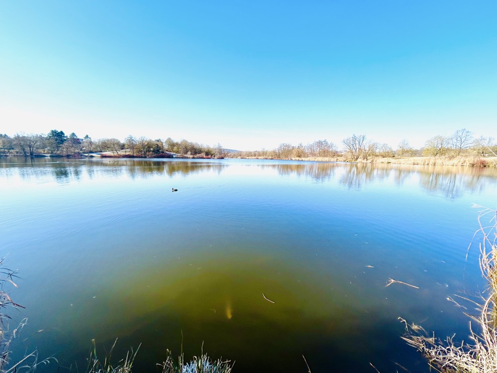 Der Donaupark in Ihrer (weiteren) Nachbarschaft