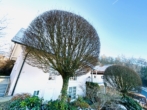 Ihr Haus mit Baum von der Straße - Hanseatische Klarheit & Bayerische Behaglichkeit!